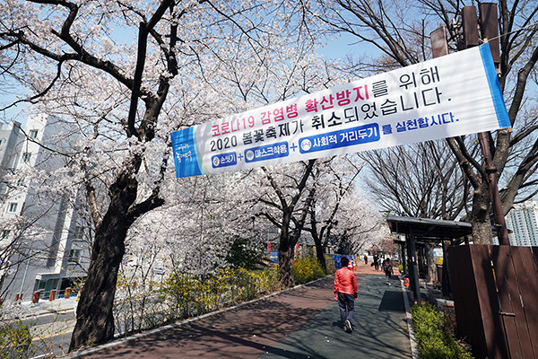 중랑천 장안벚꽃안길에 '2020 동대문 봄꽃축제'의 취소를 알리는 현수막이 게시돼 있는 모습.