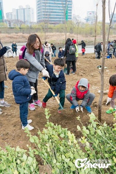지난 2019년 안양천에서 진행된 나무심기 행사