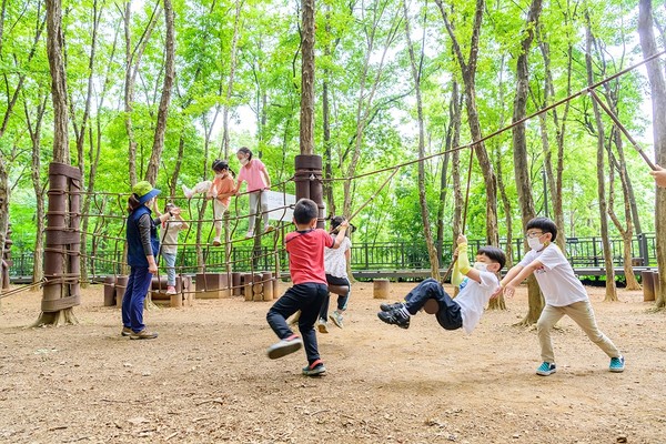 계남근린공원 유아숲 체험장