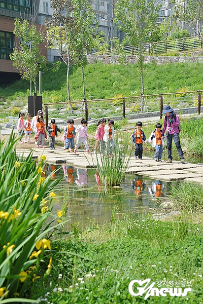 2019 양천 연의생태공원 유아 체험학습