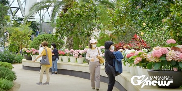 ‘오~공원이 달라졌어요’ 서울식물원 유튜브 영상