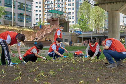 한국건강관리협회 서울동부지부 직원들이 함께 동대문구 정릉천에서 노랑꽃창포 식재를 하고 있는 모습.